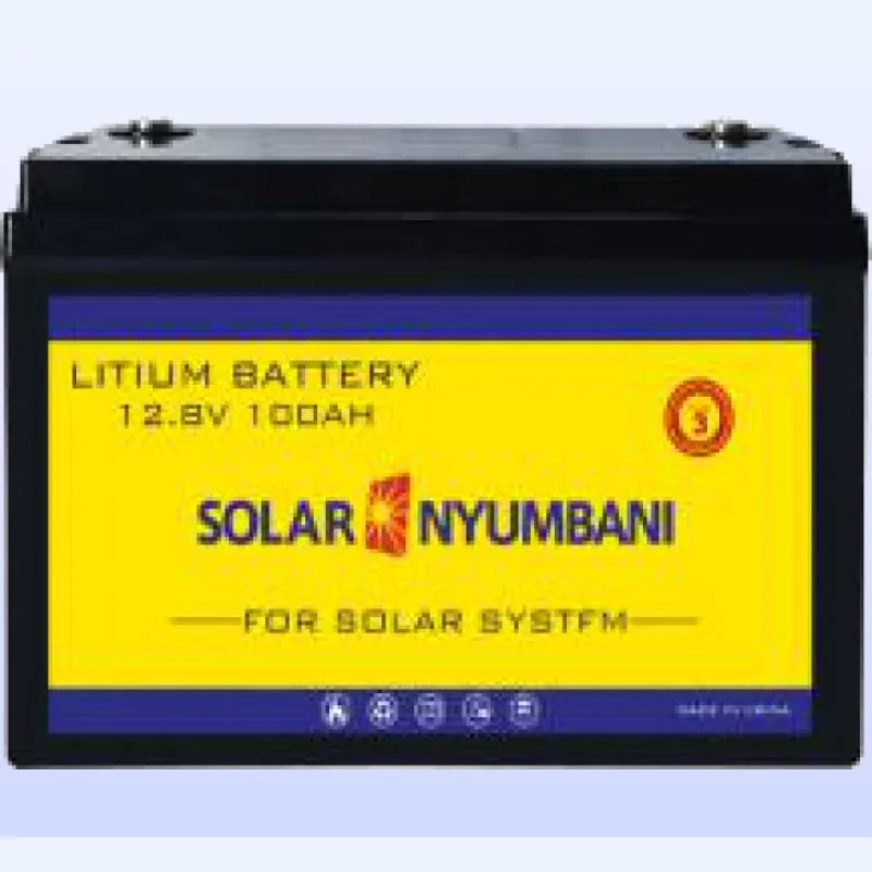 Solar Nyumbani 12.8V 100Ah Lithium Battery (1.28kWh)